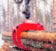 Foresteri Grijper